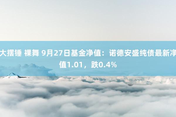 大摆锤 裸舞 9月27日基金净值：诺德安盛纯债最新净值1.01，跌0.4%