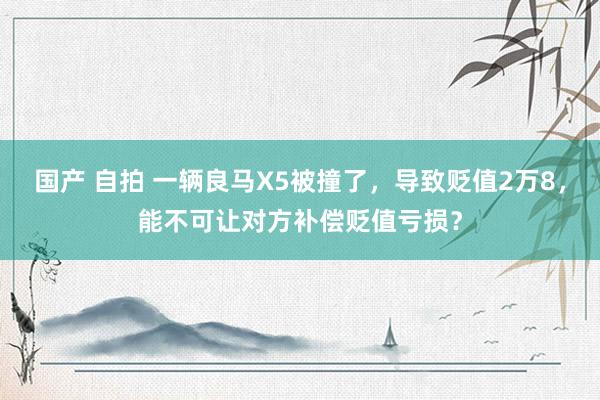 国产 自拍 一辆良马X5被撞了，导致贬值2万8，能不可让对方补偿贬值亏损？