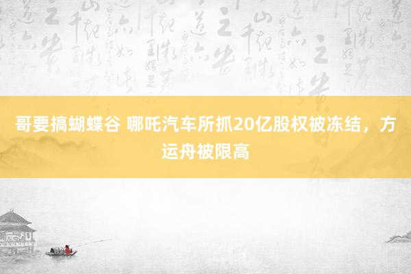 哥要搞蝴蝶谷 哪吒汽车所抓20亿股权被冻结，方运舟被限高