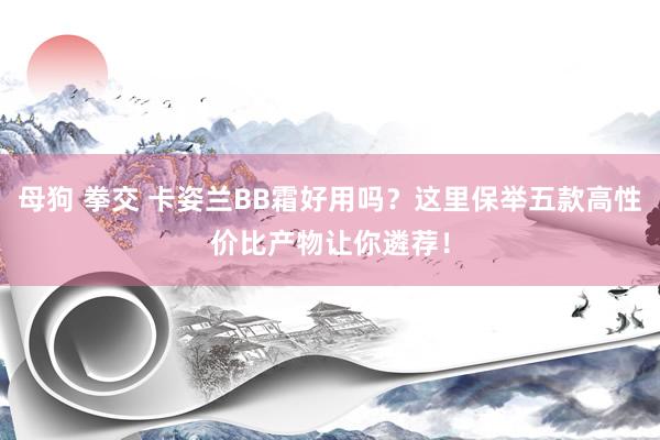 母狗 拳交 卡姿兰BB霜好用吗？这里保举五款高性价比产物让你遴荐！