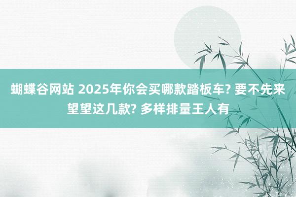 蝴蝶谷网站 2025年你会买哪款踏板车? 要不先来望望这几款? 多样排量王人有