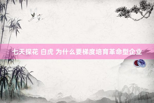 七天探花 白虎 为什么要梯度培育革命型企业