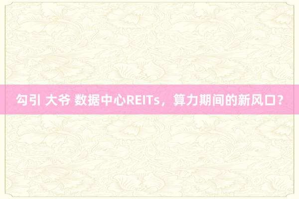 勾引 大爷 数据中心REITs，算力期间的新风口？