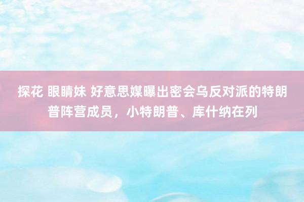探花 眼睛妹 好意思媒曝出密会乌反对派的特朗普阵营成员，小特朗普、库什纳在列