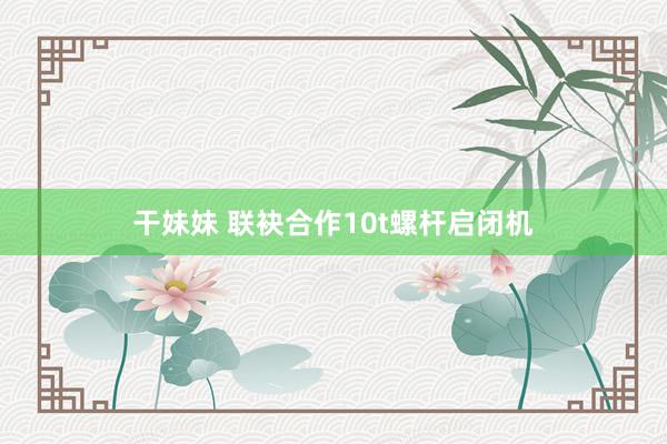 干妹妹 联袂合作10t螺杆启闭机