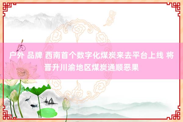户外 品牌 西南首个数字化煤炭来去平台上线 将晋升川渝地区煤炭通顺恶果