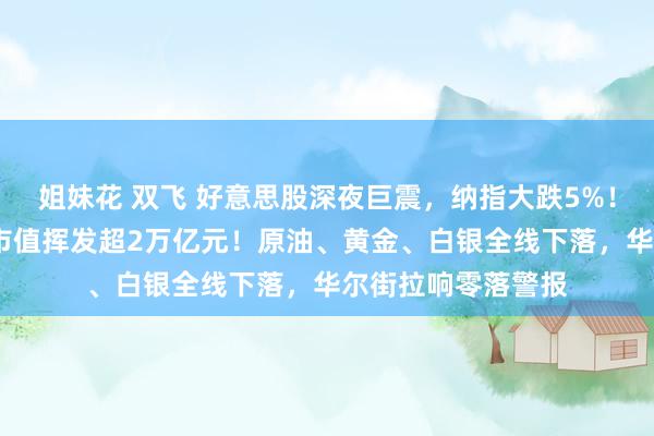姐妹花 双飞 好意思股深夜巨震，纳指大跌5%！苹果重挫超9%，市值挥发超2万亿元！原油、黄金、白银全线下落，华尔街拉响零落警报