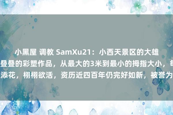 小黑屋 调教 SamXu21：小西天景区的大雄宝殿内，1900多尊重重叠叠的彩塑作品，从最大的3米到最小的拇指大小，每一尊齐锦上添花，栩栩欲活，资历近四百年仍完好如新，被誉为“中国悬塑艺术博物馆”，成就格调及...