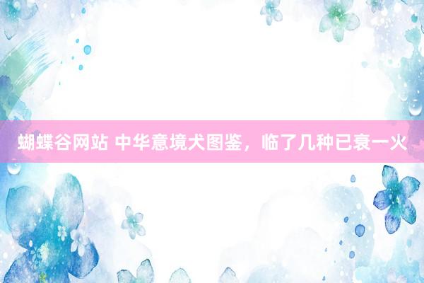 蝴蝶谷网站 中华意境犬图鉴，临了几种已衰一火