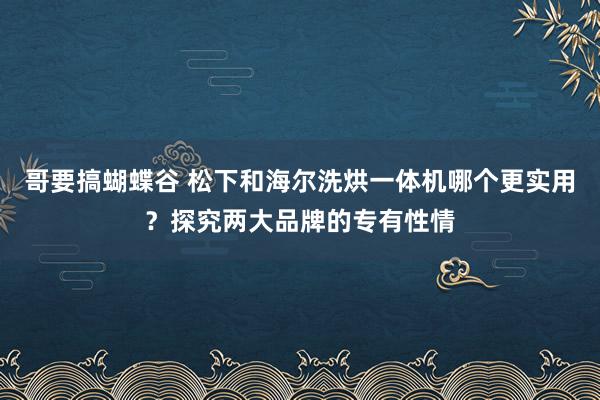 哥要搞蝴蝶谷 松下和海尔洗烘一体机哪个更实用？探究两大品牌的专有性情