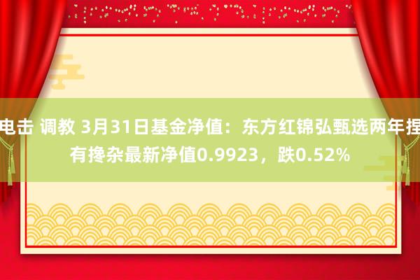 电击 调教 3月31日基金净值：东方红锦弘甄选两年捏有搀杂最新净值0.9923，跌0.52%