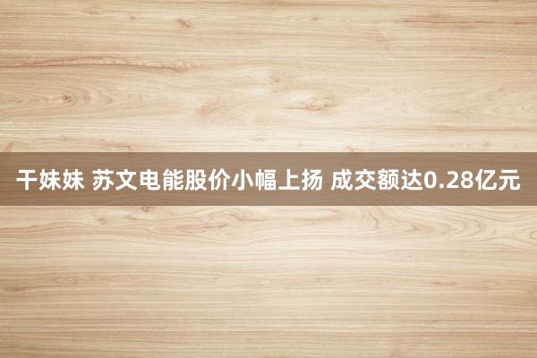 干妹妹 苏文电能股价小幅上扬 成交额达0.28亿元