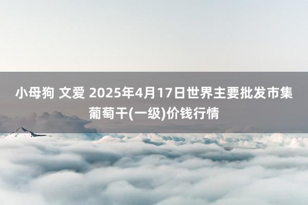 小母狗 文爱 2025年4月17日世界主要批发市集葡萄干(一级)价钱行情