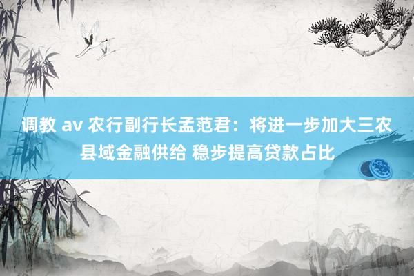 调教 av 农行副行长孟范君：将进一步加大三农县域金融供给 稳步提高贷款占比
